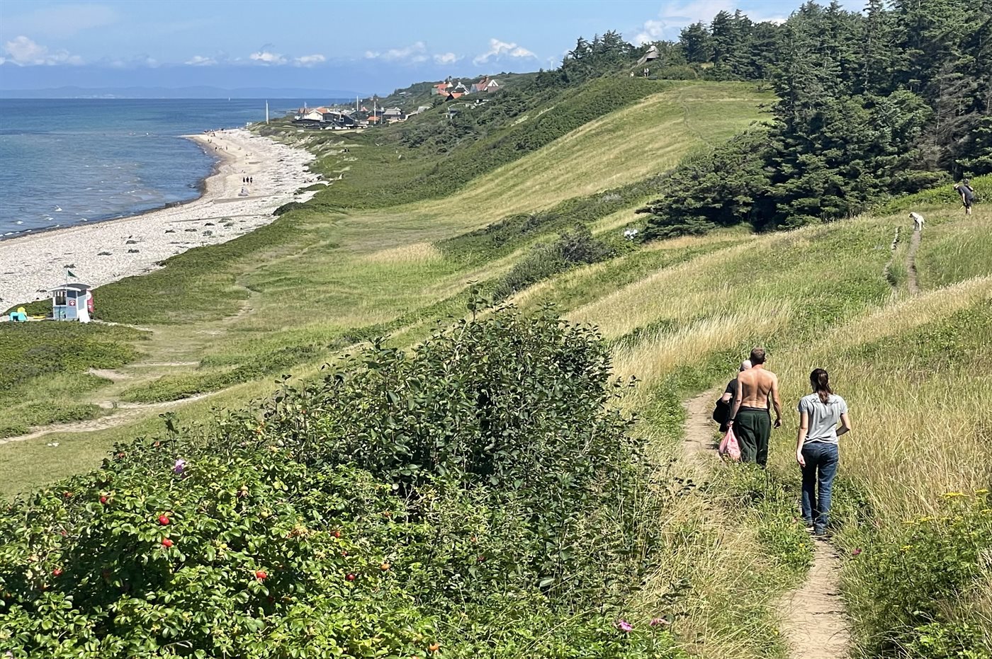 Ferienhaus 93-1943 in Raageleje - Bild 2