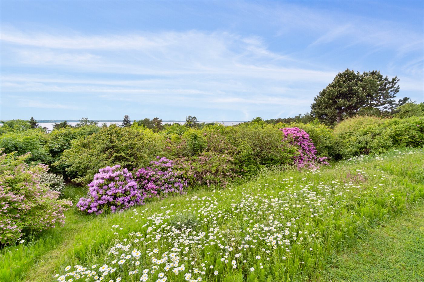 Fjordtraum in Kregme – Entspannung pur für Erwachsene und Kids! - Bild 3