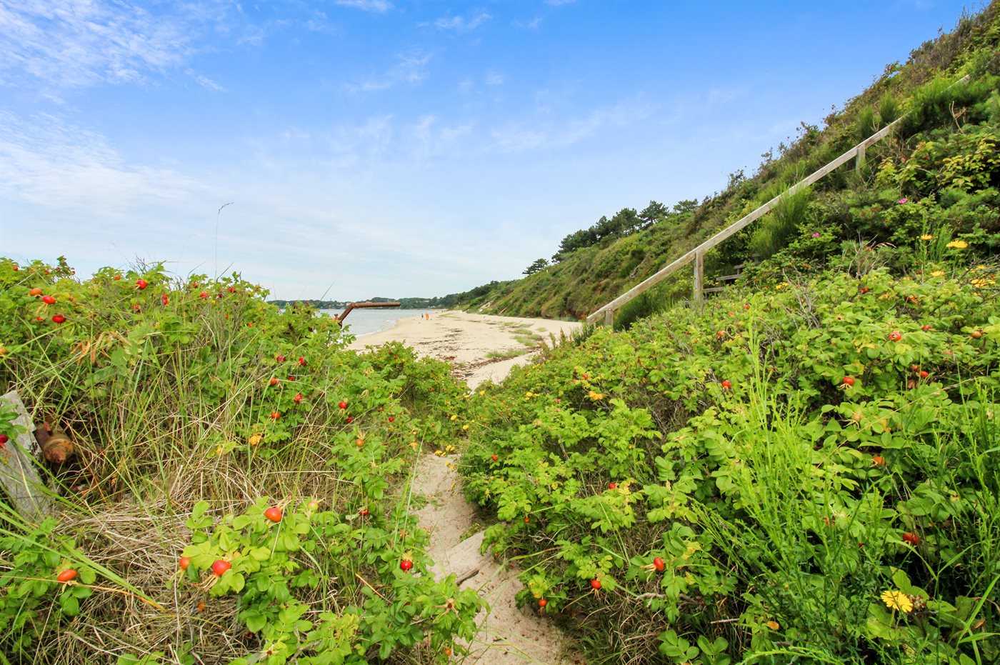 Ferienhaus 95-0026 in Rönne - Bild 4