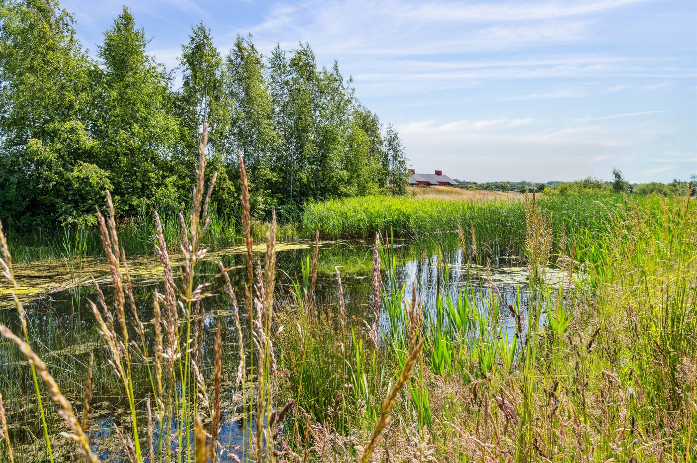 Ferienhaus 95-0047 in Rönne - Bild 5