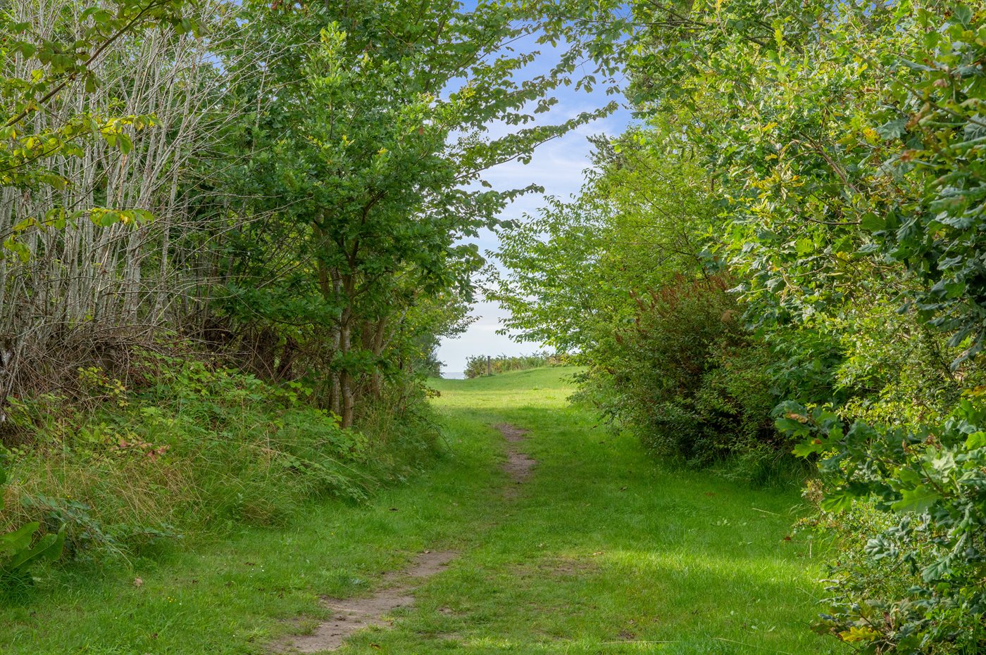 Ferienhaus 95-0261 in Arnager - Bild 4