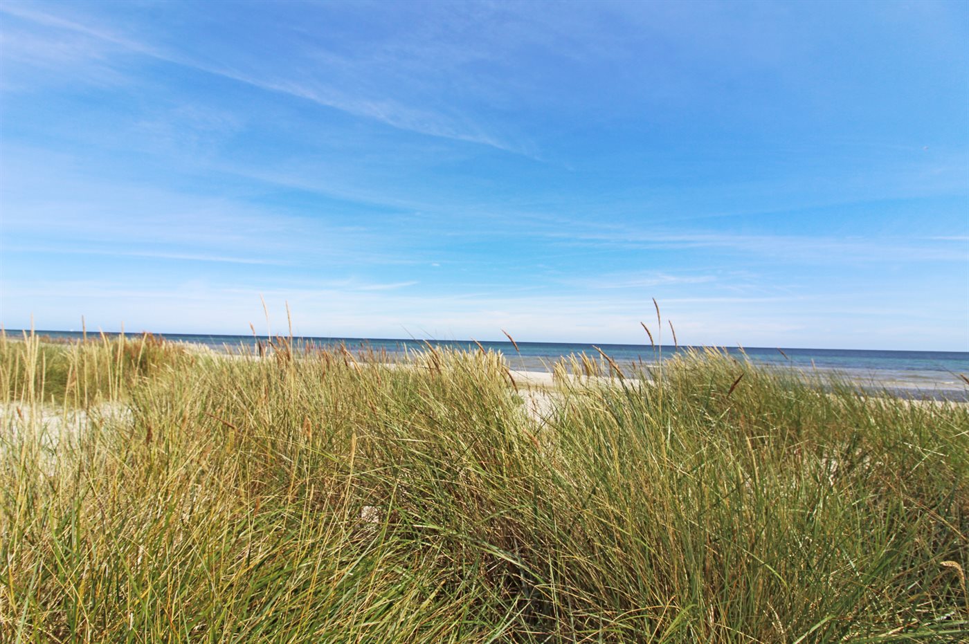 Ferienhaus 95-1013 in Dueodde - Bild 2