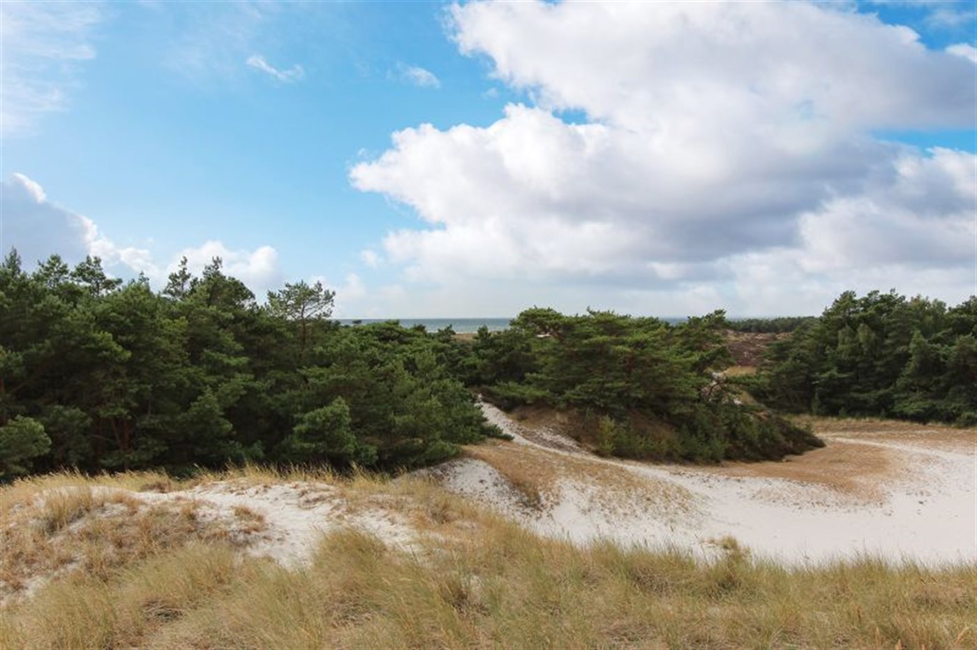 Ferienhaus 95-1078 in Dueodde - Bild 2