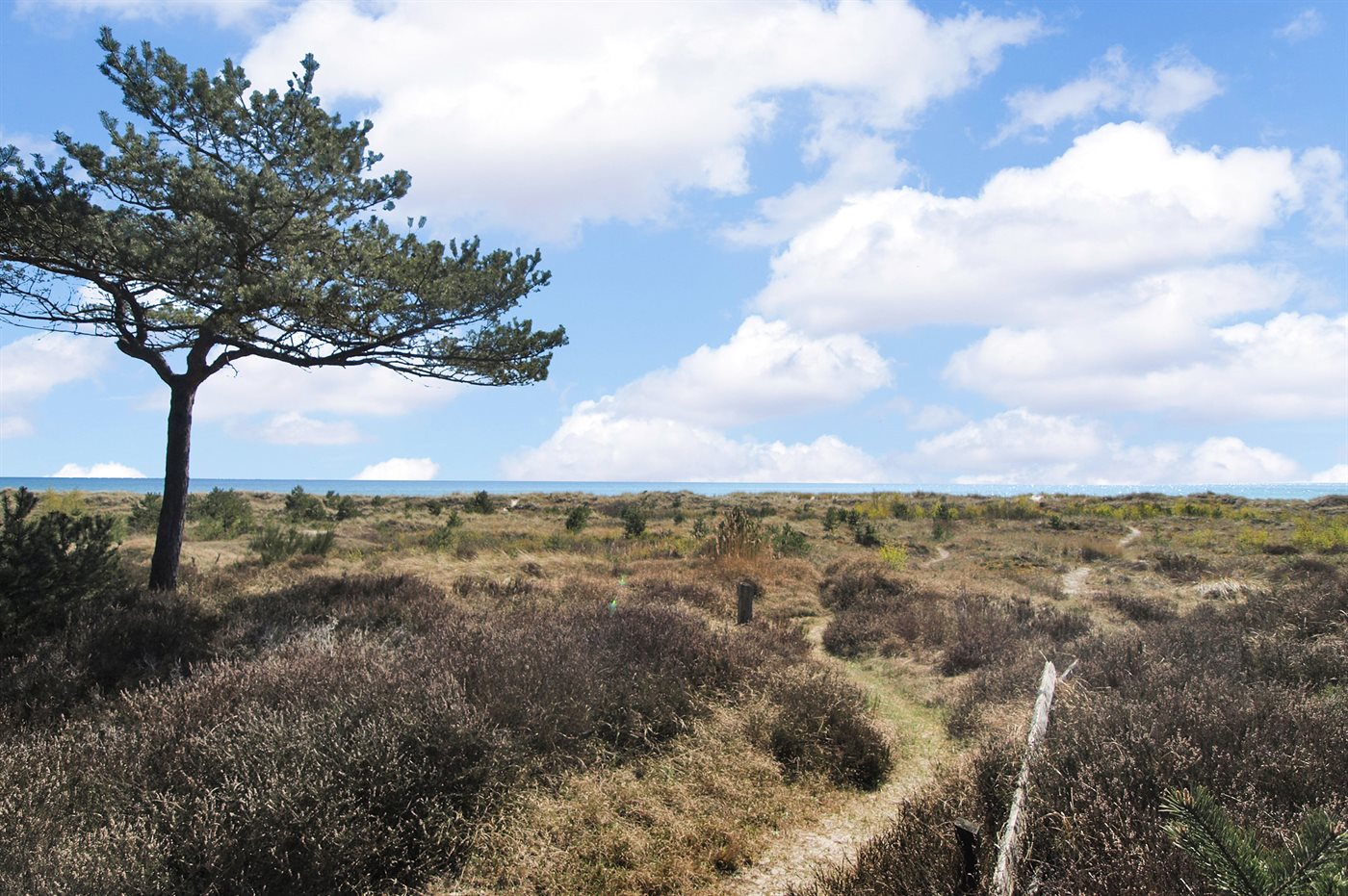Ferienhaus 95-1093 in Dueodde - Bild 3