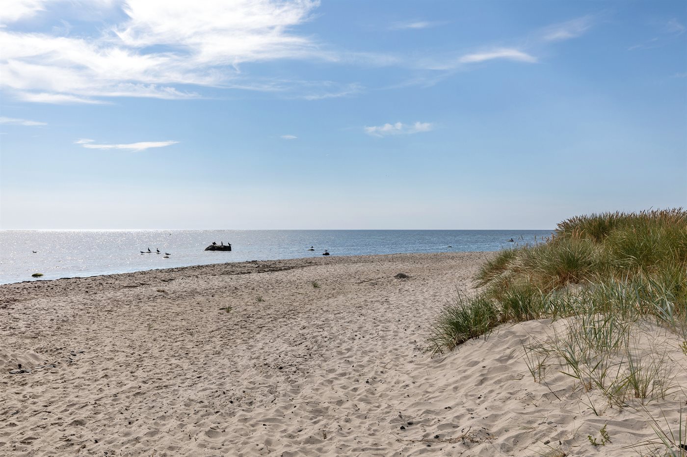 Urlaubstraum in Nexø: Strand, Sauna und Entspannung pur! - Bild 3