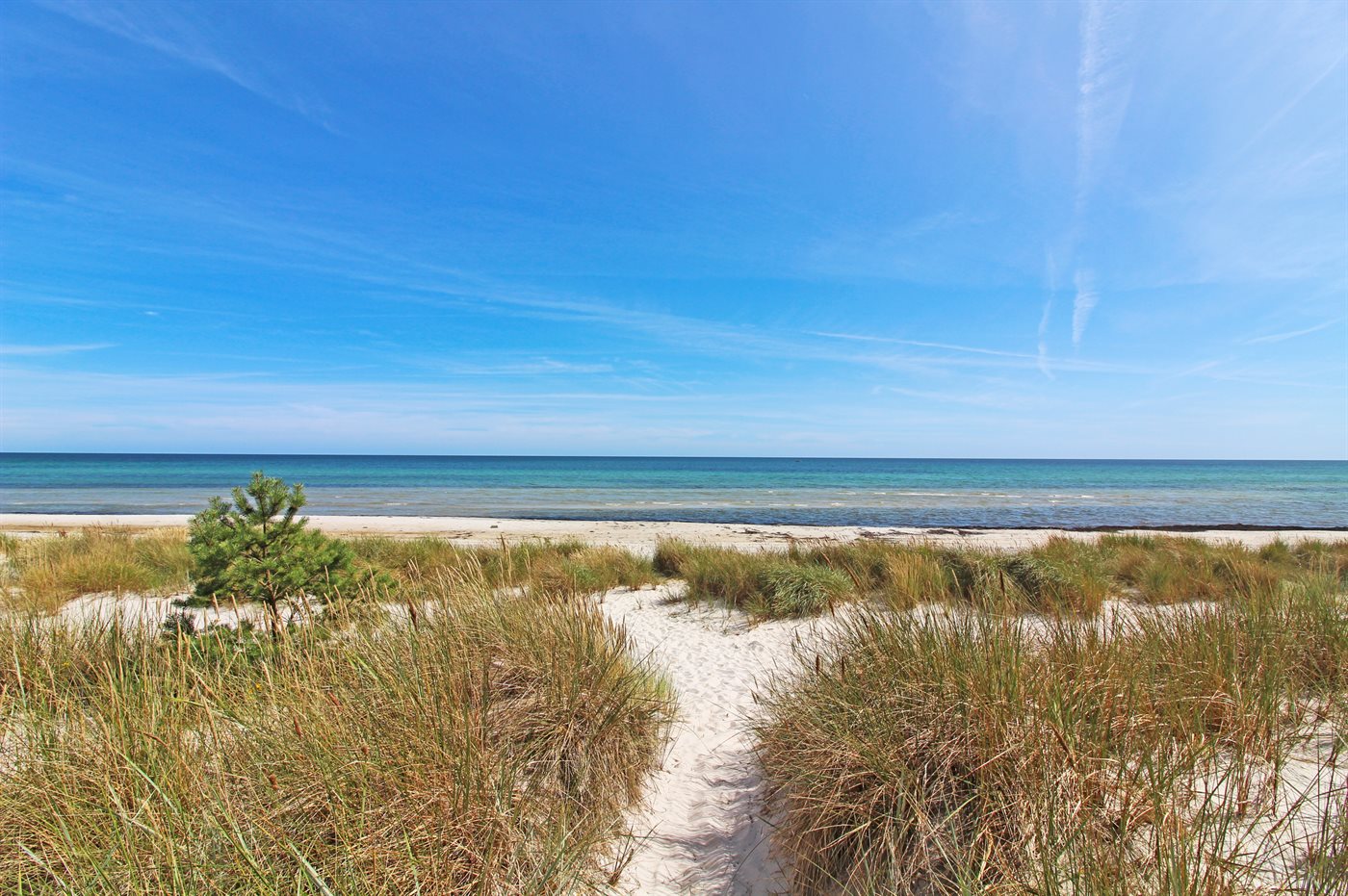 Ferienhaus 95-1127 in Dueodde - Bild 2