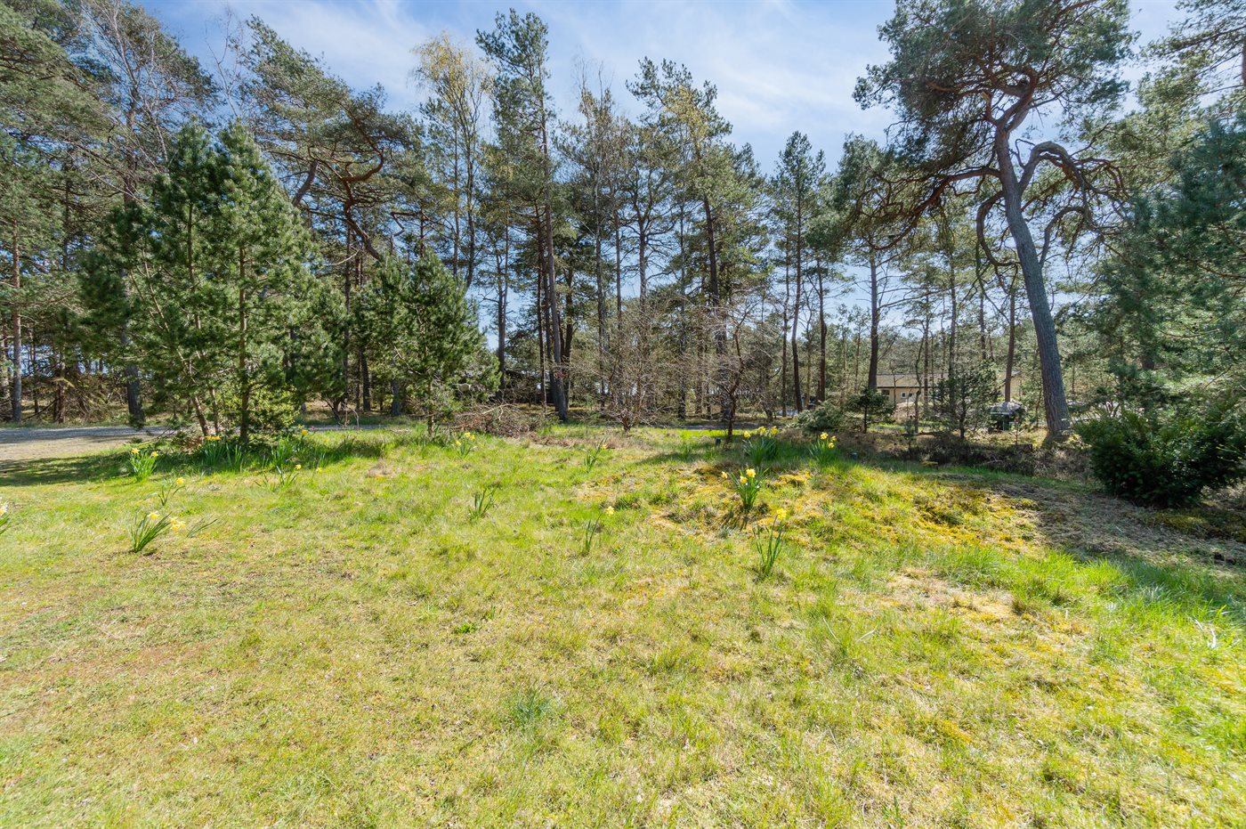 Ferienhaus 95-1130 in Dueodde - Bild 4