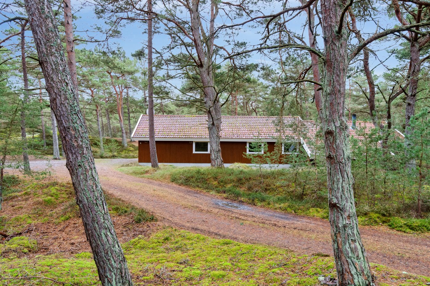 Ferienhaus 95-1137 in Dueodde - Bild 2