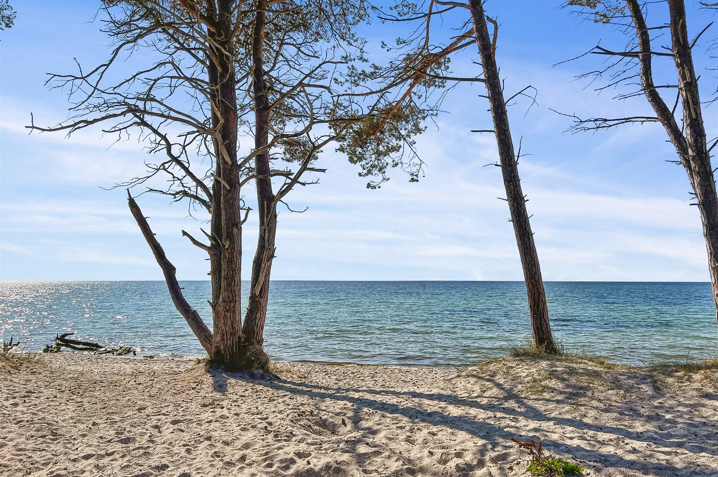 Dein Traumferienhaus in Nexø – Entspannung und Abenteuer! - Bild 4