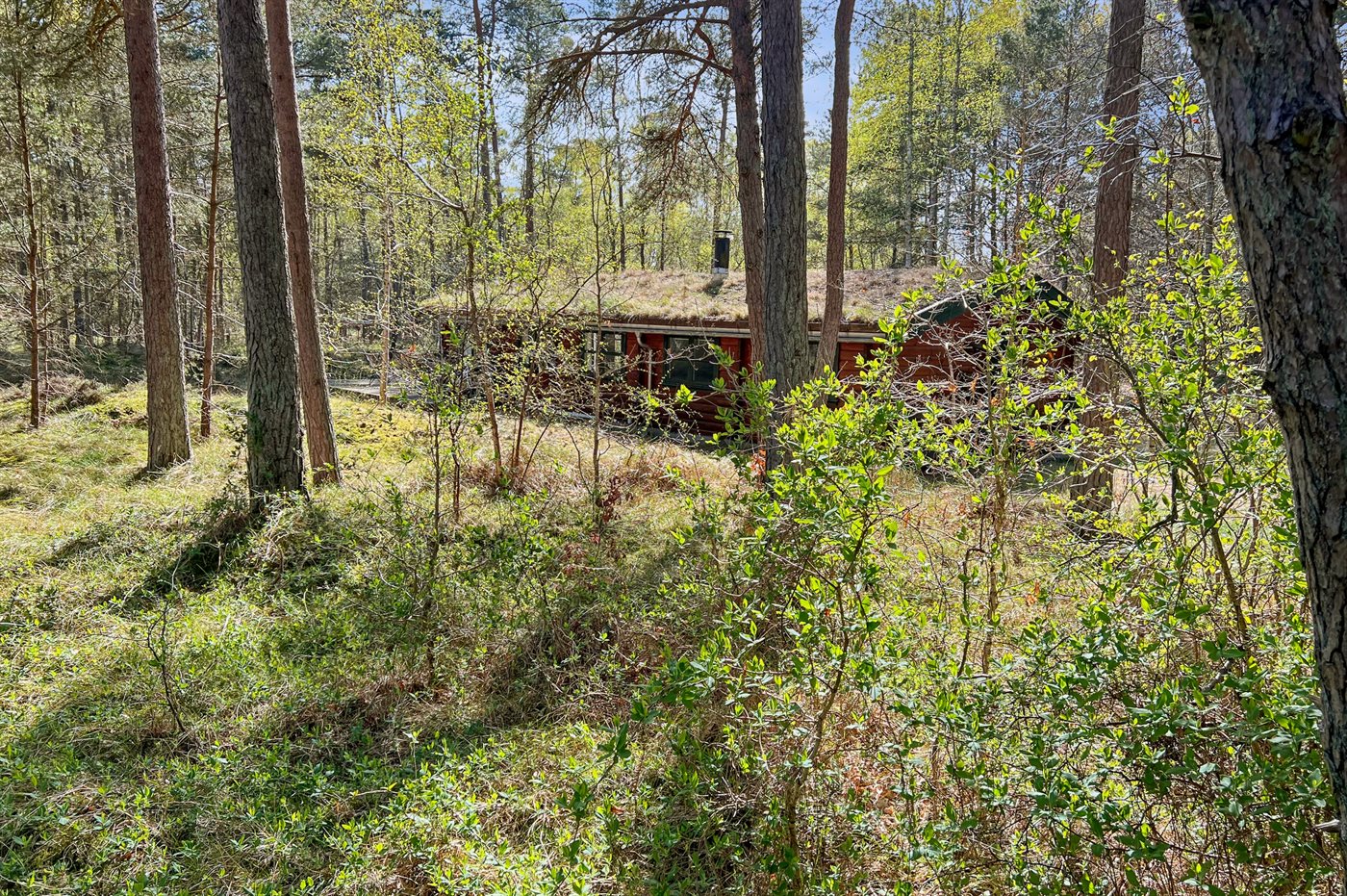 Strandhaus-Glück mit Sauna und Meerblick bei Dueodde