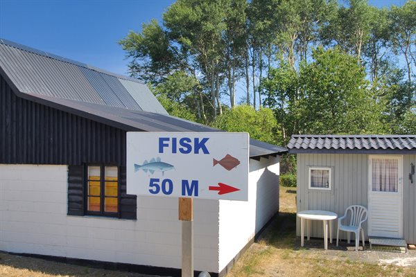 Sommerhus 95-1163
