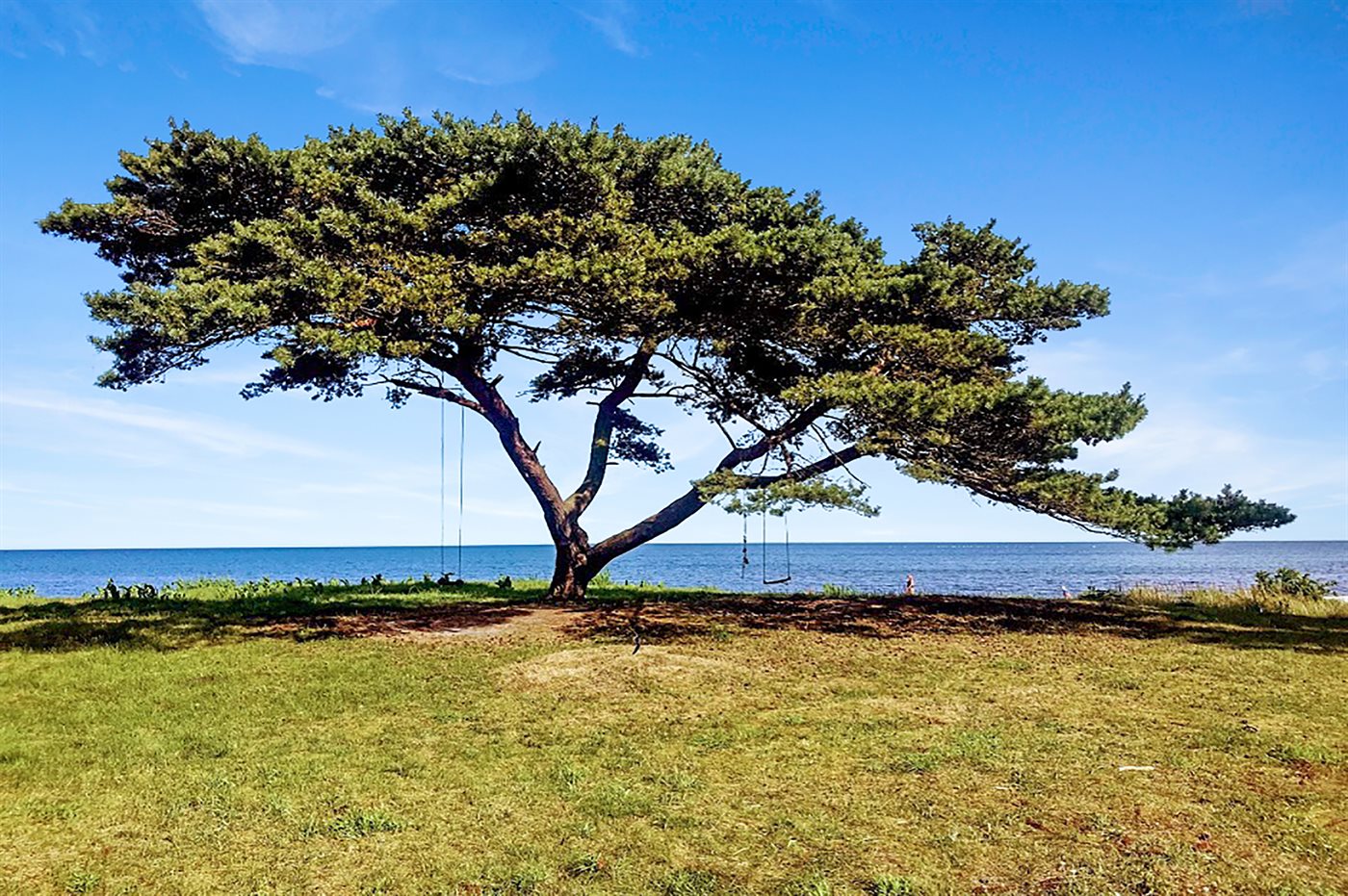 Ferienhaus 95-2027 in Snogebäk - Bild 2