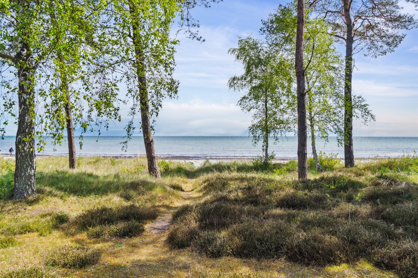 Ferienhaus 95-2034 in Snogebäk - Bild 3