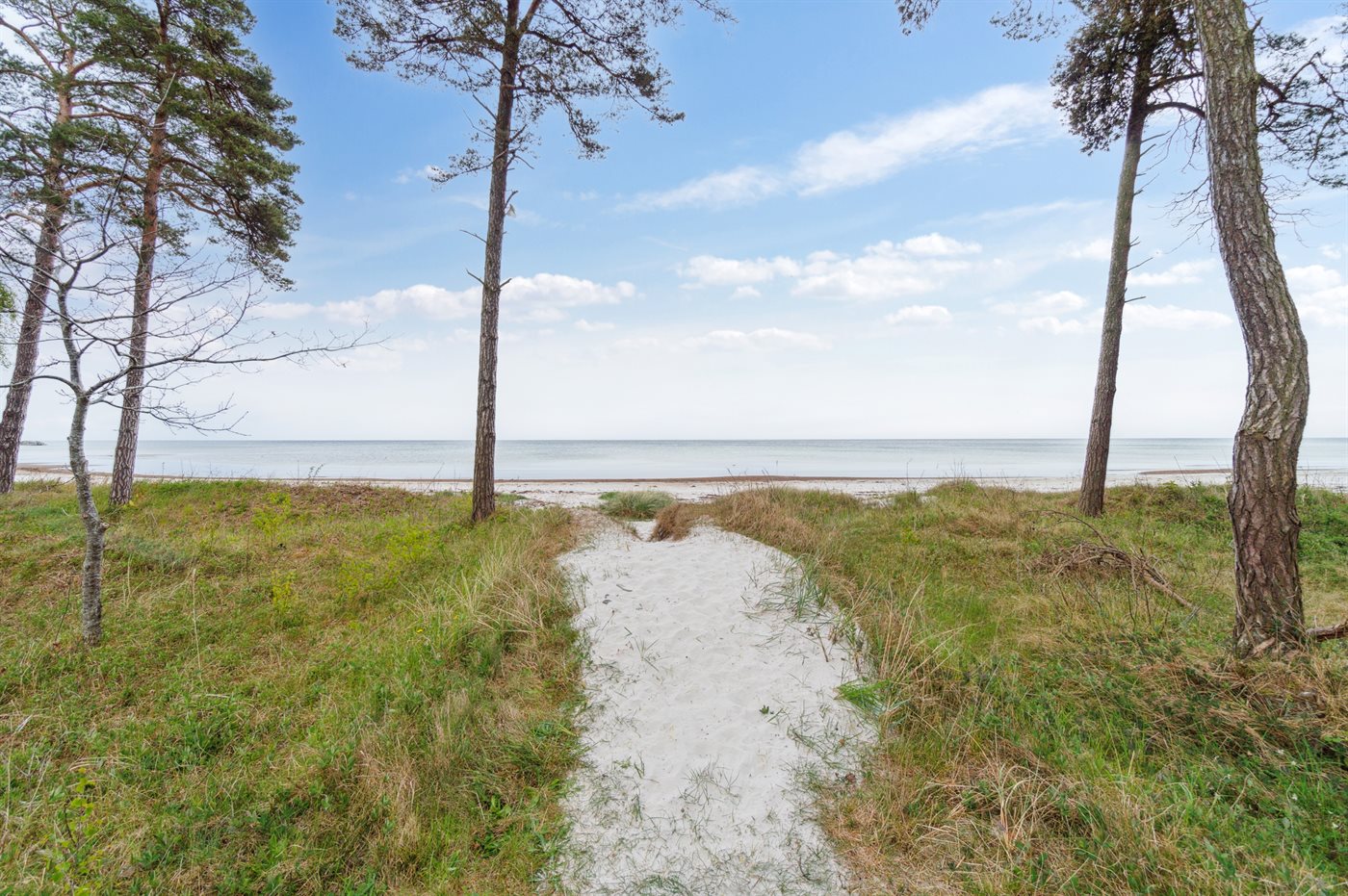 Ferienhaus 95-2034 in Snogebäk - Bild 4