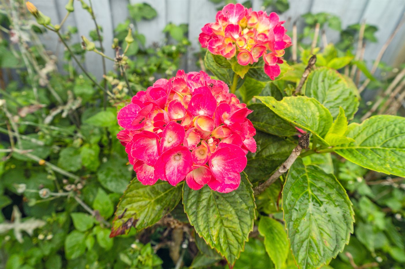 Ferienhaus 95-2575 in Balka - Bild 5