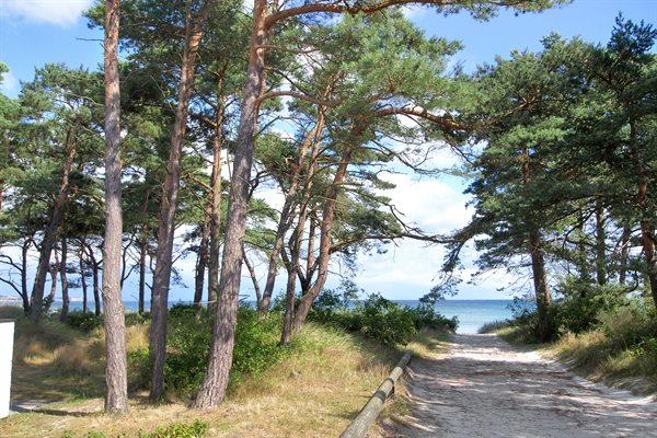 Sommerhus 95-2601