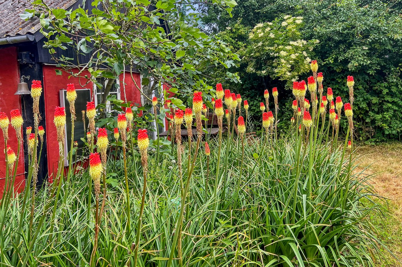 Ferienhaus 95-3017 in Balka - Bild 5