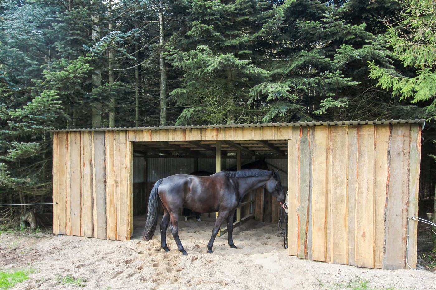Ferienhaus 95-5040 in Gudhjem - Bild 3