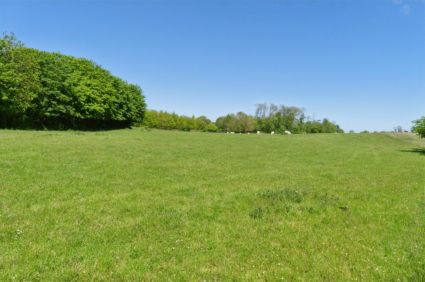 Ferienhaus 95-5059 in Östermarie - Bild 4