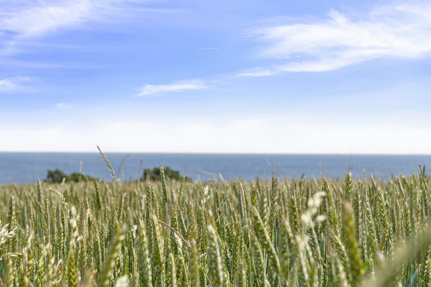 Ferienhaus 95-5756 in Allinge - Bild 5