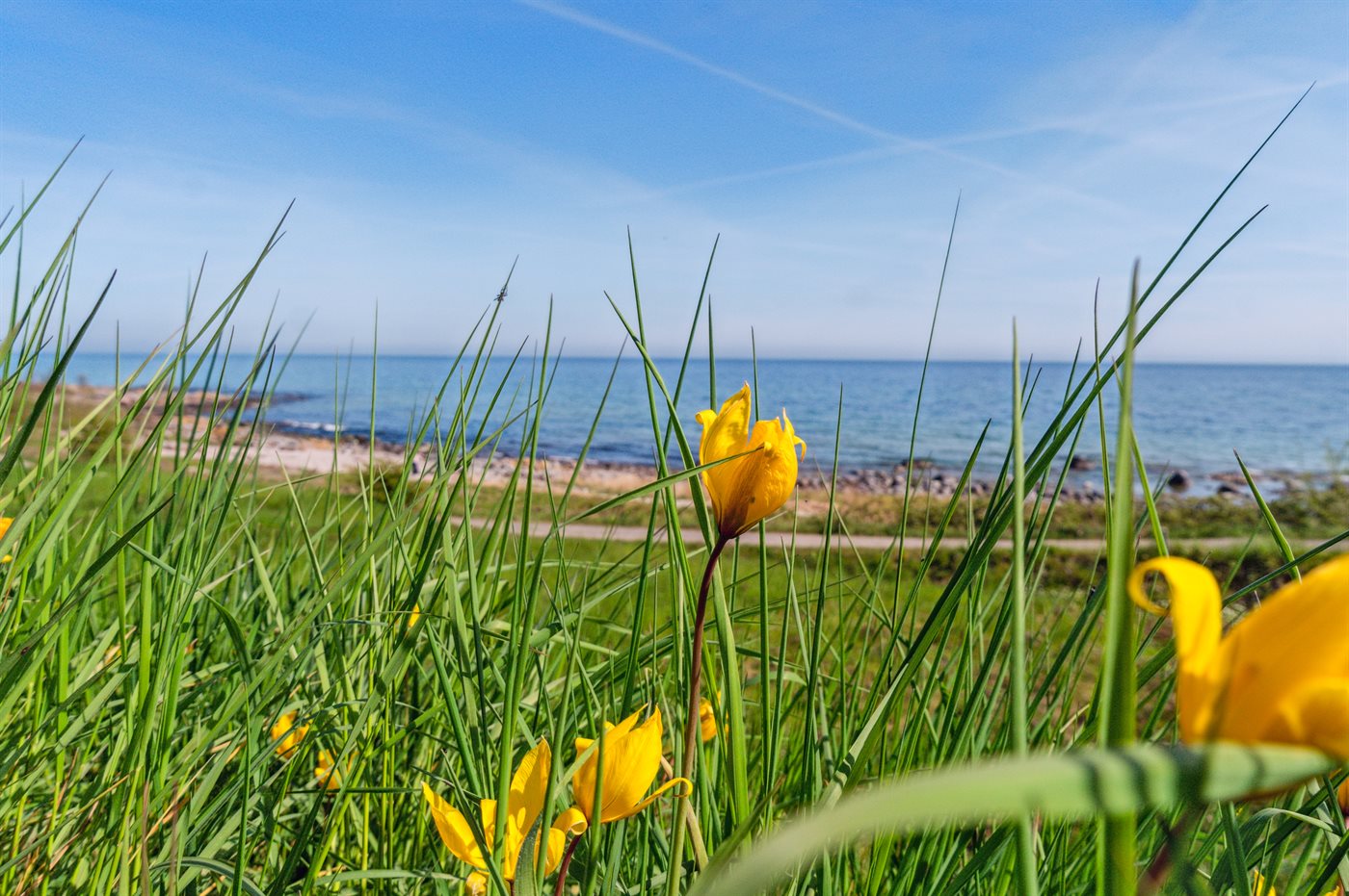Ferienhaus 95-5791 in Sandkaas - Bild 3