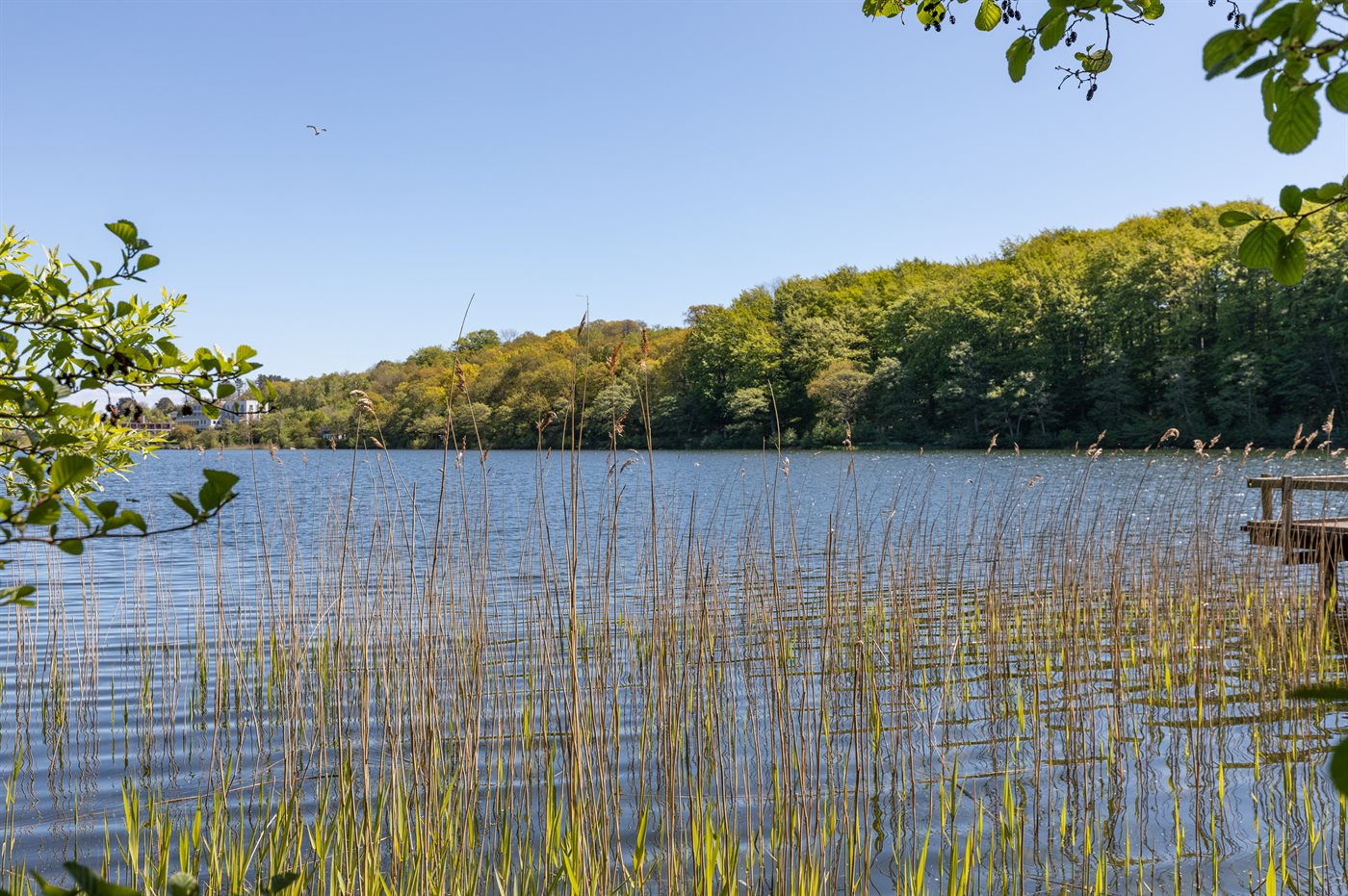 Ferienhaus 95-6003 in Sandvig - Bild 4
