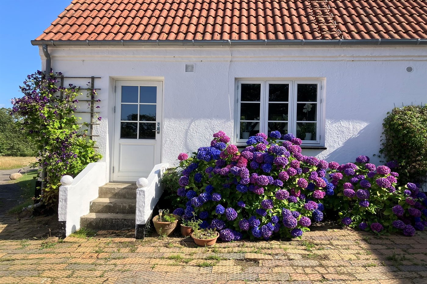 Ferienhaus 95-6011 in Allinge - Bild 3