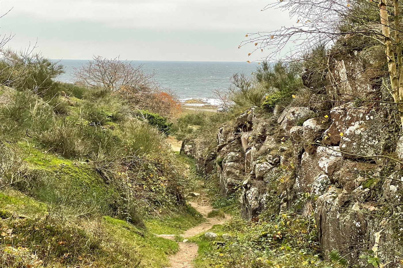 Ferienhaus 95-6035 in Sandvig - Bild 5