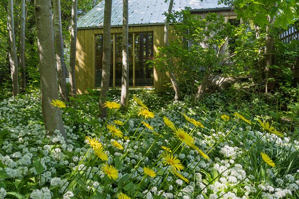 Sommerhus 95-6057