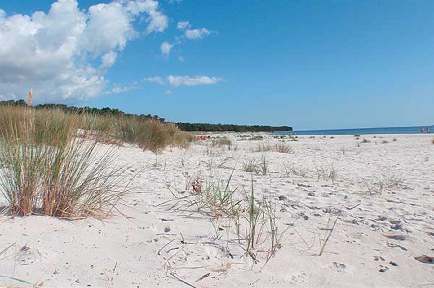 Ferienhaus 95-9016 in Dueodde Ferieby - Bild 2