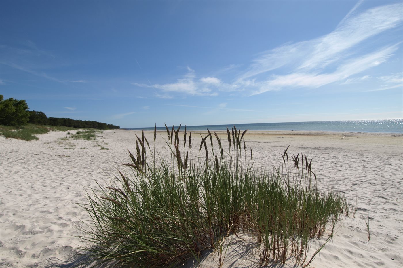 Ferienhaus 95-9039 in Dueodde Ferieby - Bild 2