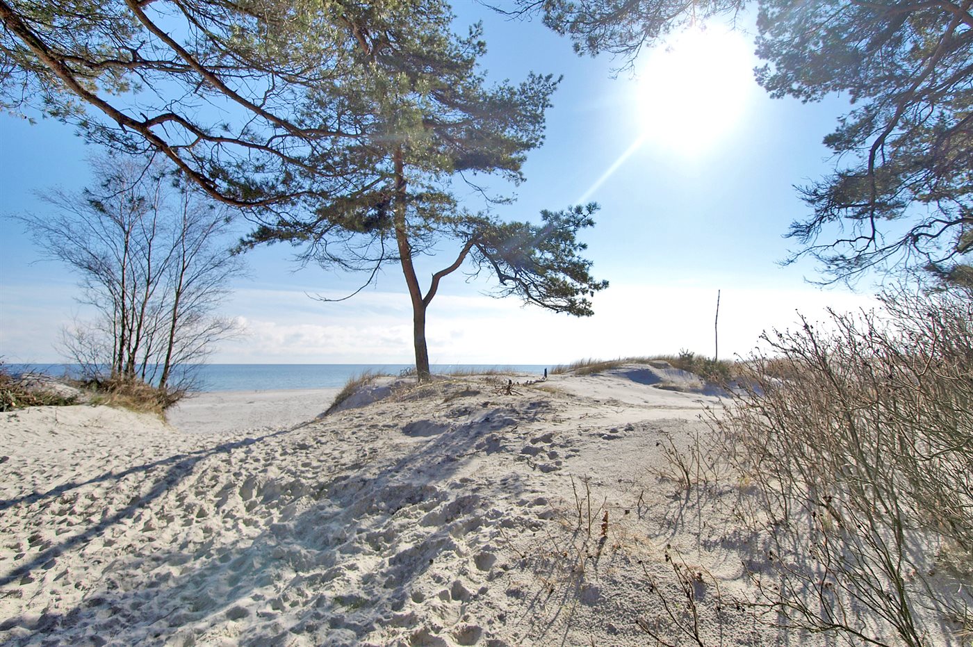 Ferienhaus 95-9049 in Dueodde Ferieby - Bild 3