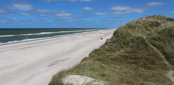 Bred strand och sanddyner vid Vesterhavet