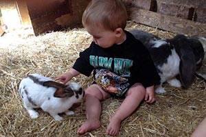 Selv de mindste gæster hygger sig i Farm Fun Baby med kaniner