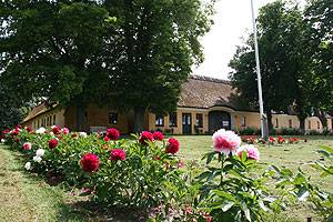 Greve Museum im Sommer Greve Museum Sommer