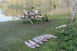 Moesholm - Put and Take - Angler Moesholm - Put and Take Angler