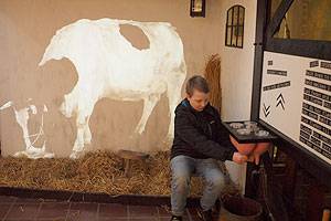 Prøv at malke en ko som man gjorde i gamle dage Dreng prøver malkesimulatoren på Dit Museum Ølgod