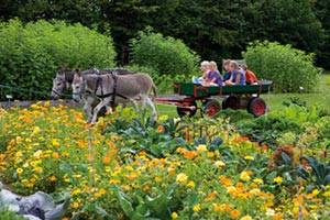 De Økologiens Have is een leuke en interessante belevenis Rijden door de tuin