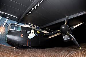 Fra udstillingen Stor flyver på Ringkøbing Museum