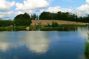 Der Angelsee liegt in schöner Umgebung Angelsee