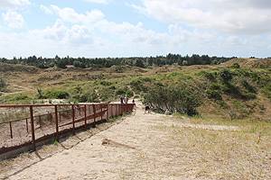 Udsigt over klitlandskabet ved Tirpitz Sommerhuse og klitlandskab ved Tirpitz