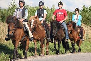 Het Vedersø Ridecenter biedt tochten op IJslandse paarden aan Een groep ruiters in de natuur