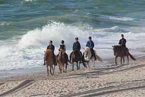 Paardrijden op het strand is een geweldige belevenis Een groep ruiters op het strand
