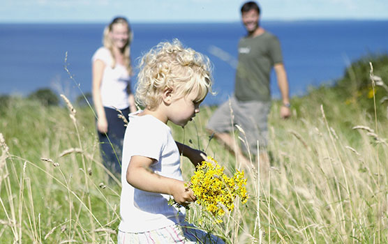 Families with children will love the safety by renting a private holiday home or a holiday flat.
