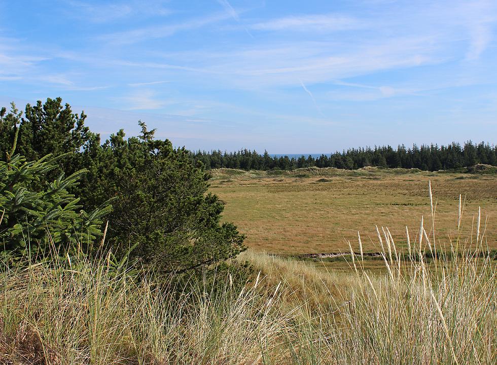 Landskapet mellan stranden och sommarstugeområdet i Kollerup