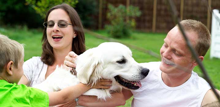 etisk entusiasme Gå i stykker Tag hunden med på ferie i sommerhus - sommerhusudlejning for hele familien