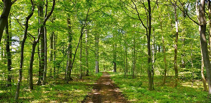 Geniet tijdens uw vakantie volop van de natuur