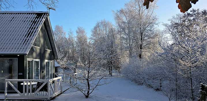 Jul och nyår i Danmark Jul och nyår i Danmark