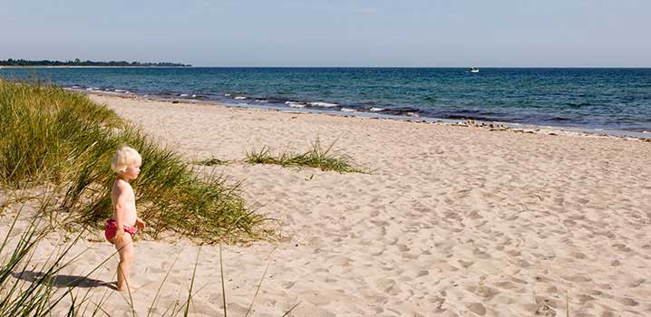 A little child standing by the dunes looking over the beach and the blue water.