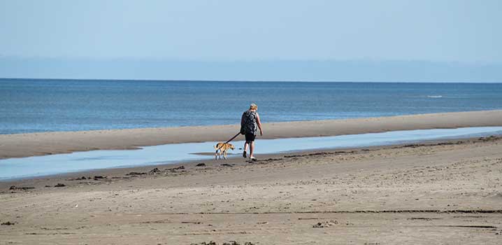 Nehmen Sie den Hund mit nach Skagen und genießen Sie Spaziergänge in der schmucken Natur